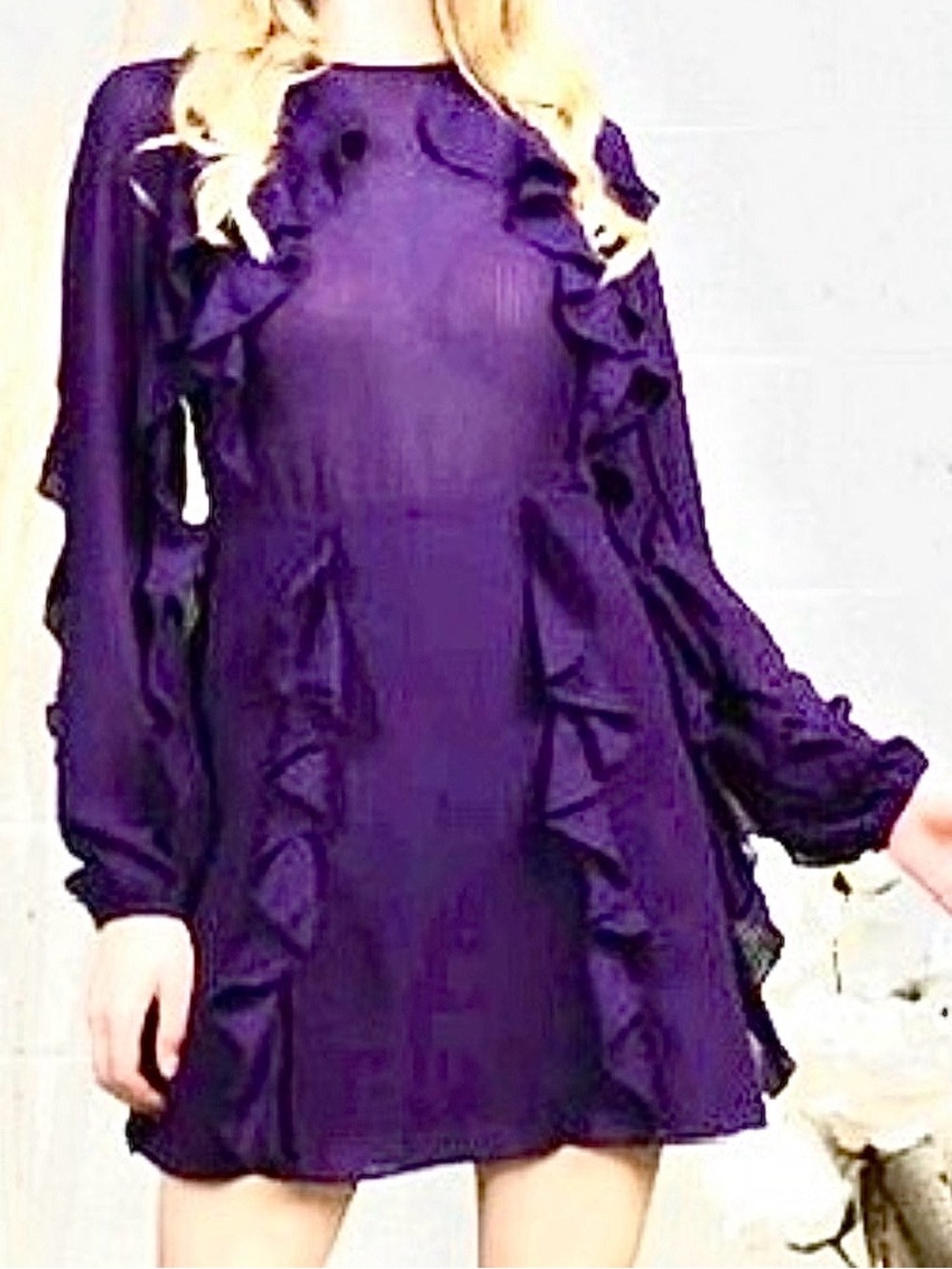 Fanco Plum Purple Chiffon Ruffle Mini Dress Sheer Long Sleeve NWT